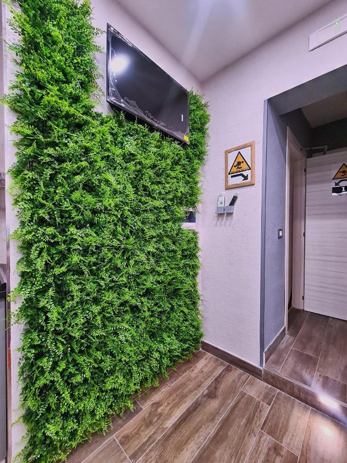 Apartment Focus *